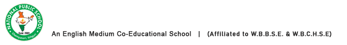 National Public School logo